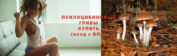 сатива Сафоново