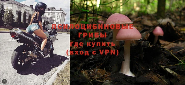 сатива Сафоново