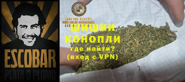 сатива Сафоново