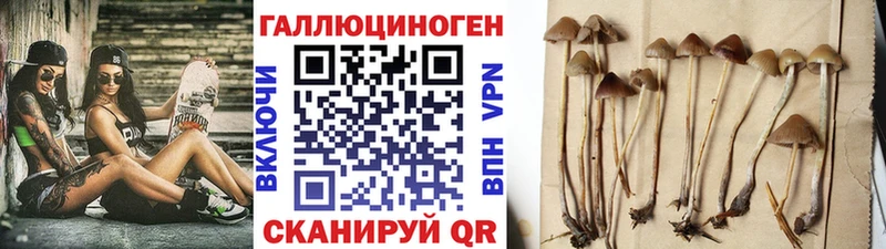 купить закладку  Снежинск  OMG зеркало  Псилоцибиновые грибы MAGIC MUSHROOMS 