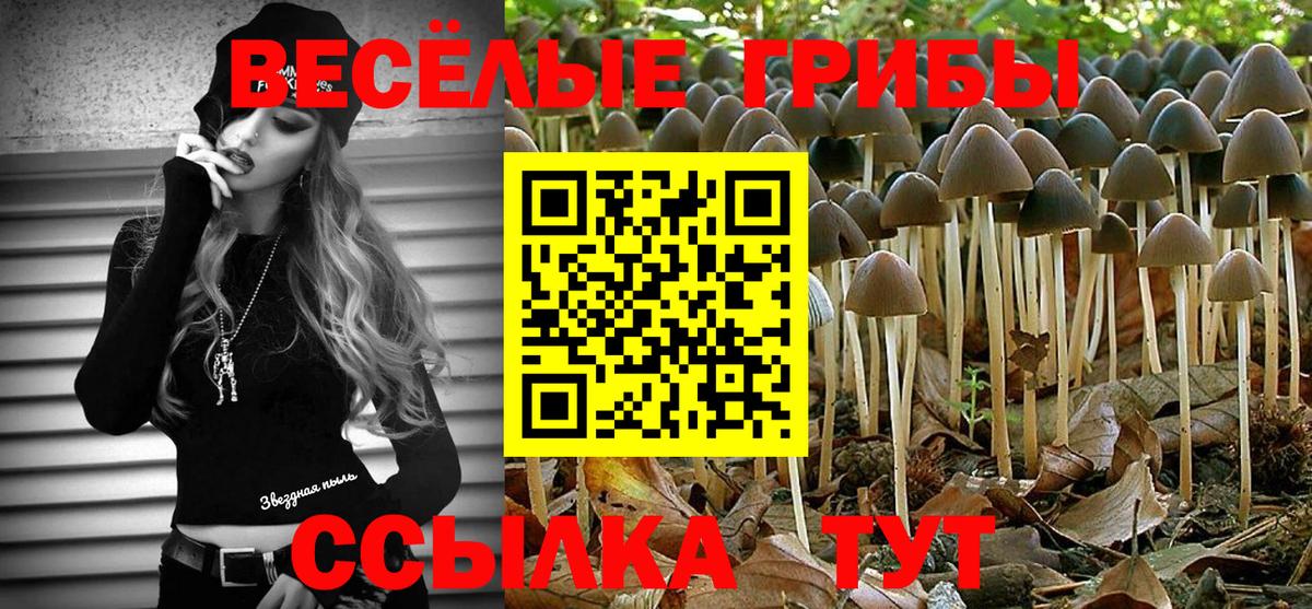 Снежинск  Псилоцибиновые грибы ЛСД  Вход с VPN  Псилоцибиновые грибы Magic Shrooms 